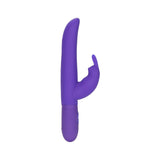 Posh 10 Function Bounding Rabbit - Purple