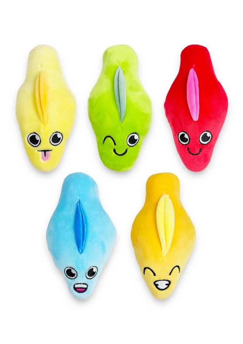 Bag Of Cunts Plushy Pillows (5 Pack) - Assorted Colors