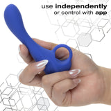 CalExotics Connect® Explorer