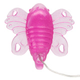 Venus Butterfly Original Vibe