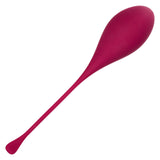 Kegel Training 5-Piece Set