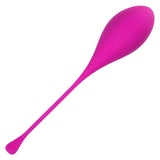 Kegel Training 5-Piece Set