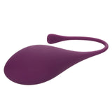 Kegel Training 5-Piece Set