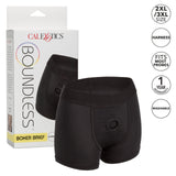 Boundless Boxer Brief Harness - Black
