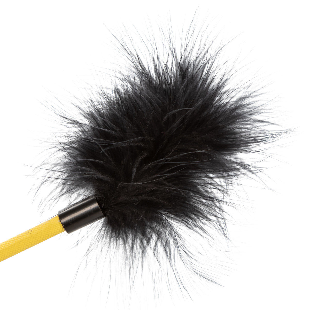 Boundless™ Feather Crop
