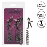 Euphoria Collection Chain Nipple Clamps