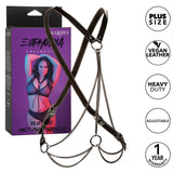 Euphoria Collection Plus Size Multi Chain Harness