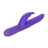 Posh 10 Function Bounding Rabbit - Purple