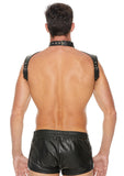 Men Harness with Neck Collar - One Size - Black