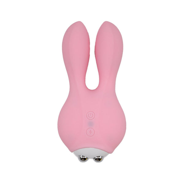 Beloved Bolting Bunny