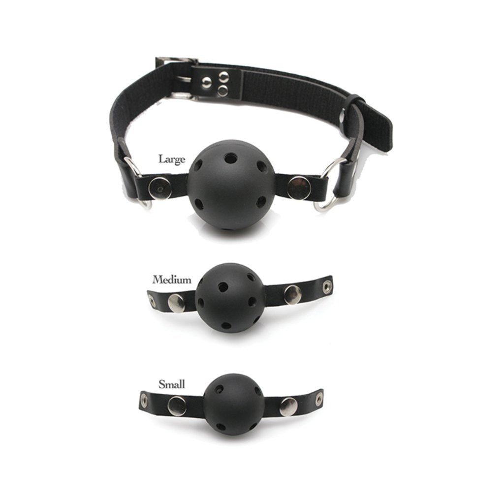 Fetish Fantasy Series Ball Gag Training Kit