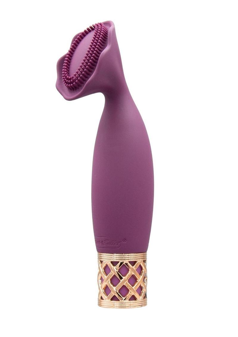 Pillow Talk Passion Rechargeable Silicone Massager - Wine/Rose Gold – The  Love Store Online