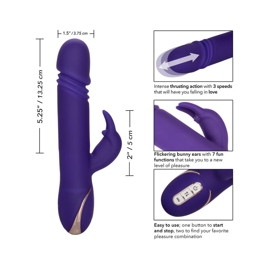 Jack Rabbit Signature Collection  The Love Store Online