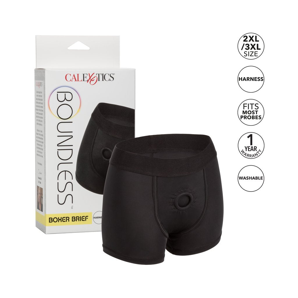 Boundless Boxer Brief Harness - Black – The Love Store Online